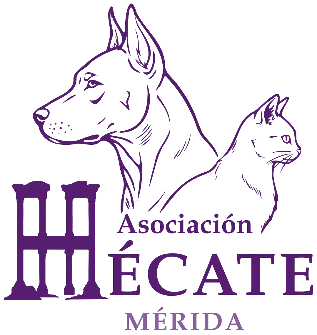 Asociación Hécate Mérida